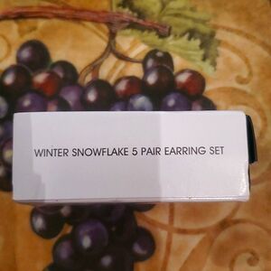 Winter snowflake 5 pair earrings set